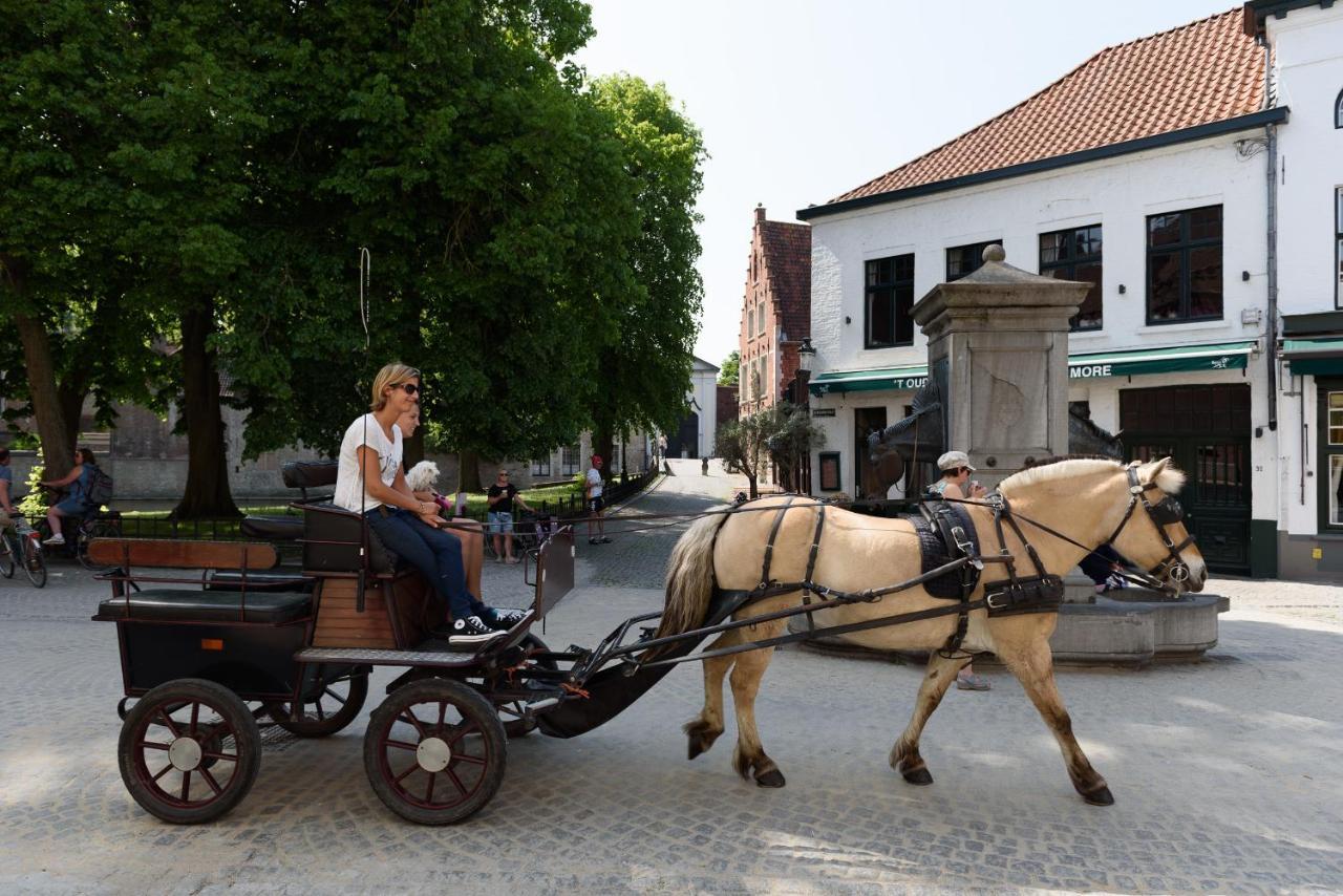 Haven 7 Bed & Breakfast Bruges Exterior photo